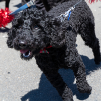 Hit refresh if image not shown