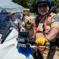 Hit refresh if image not shown