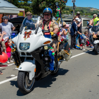 Hit refresh if image not shown