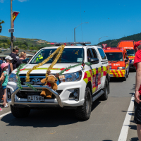 Hit refresh if image not shown