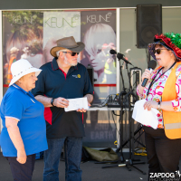 Hit refresh if image not shown