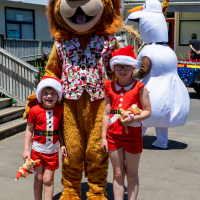 Hit refresh if image not shown