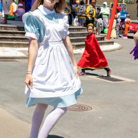 Hit refresh if image not shown