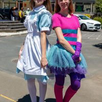 Hit refresh if image not shown