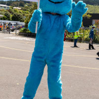 Hit refresh if image not shown